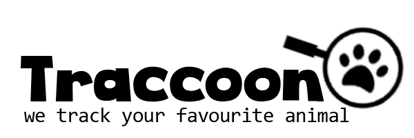 Traccon Logo